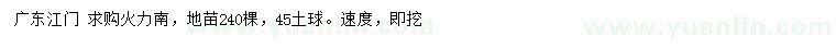 求購火力楠地苗