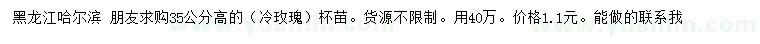 求購高35公分冷玫瑰