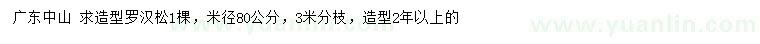 求購(gòu)米徑80公分造型羅漢松