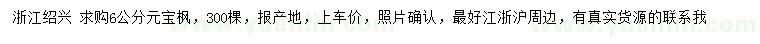 求購6公分元寶楓