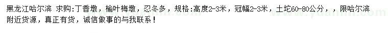 求購丁香墩、榆葉梅墩、忍冬多