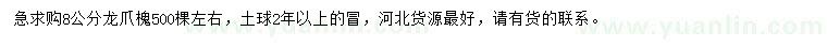 求購8公分龍爪槐