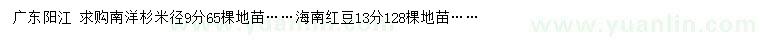 求購(gòu)米徑9公分南洋杉、13公分海南紅豆