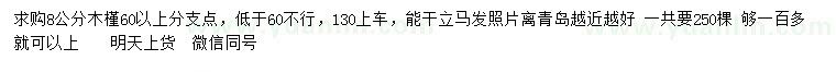 求購8公分木槿
