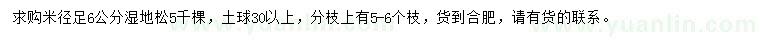 求購米徑足6公分濕地松