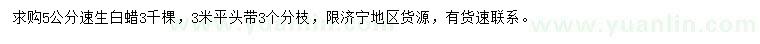 求購5公分速生白蠟