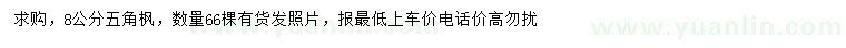 求購8公分五角楓