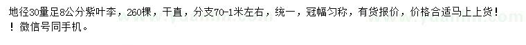 求購30量8公分紫葉李