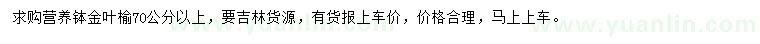 求購70公分以上金葉榆
