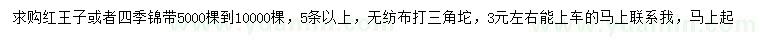 求購紅王子或者四季錦帶