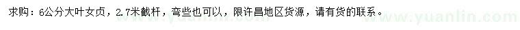 求購6公分大葉女貞