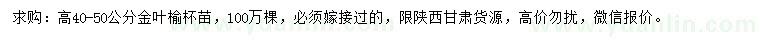 求購(gòu)高40-50公分金葉榆杯苗