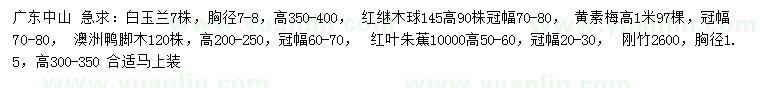 求購白玉蘭、紅繼木、黃素梅等