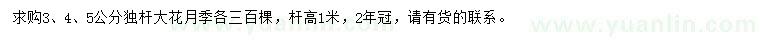 求購3、4、5公分獨(dú)桿大花月季