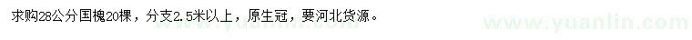 求購28公分國槐