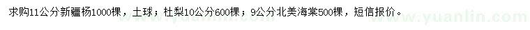 求購新疆楊、杜梨、北美海棠