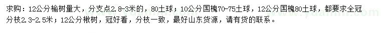 求購榆樹、國槐、楸樹