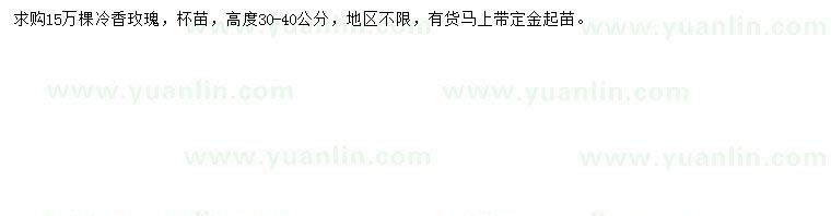 求購(gòu)高度30-40公分冷香玫瑰