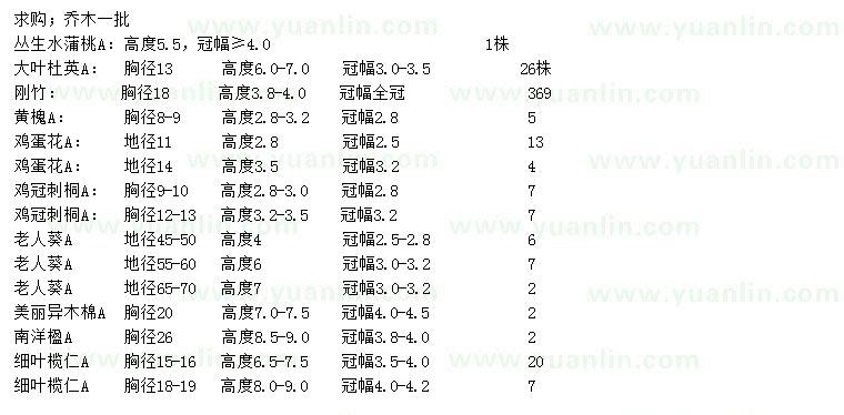 求購叢生水蒲桃、大葉杜英、剛竹等