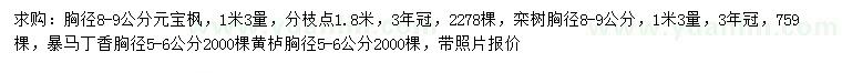 求購元寶楓、欒樹、暴馬丁香等