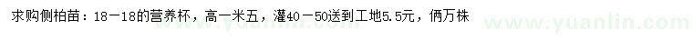 求購高1.5米側(cè)柏苗