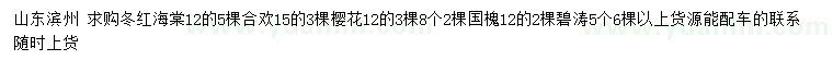 求購(gòu)冬紅海棠、合歡、櫻花等