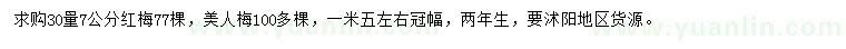 求購30量7公分紅梅、美人梅