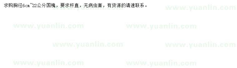 求購胸徑6-22公分國槐