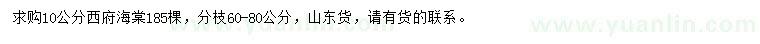 求購10公分西府海棠