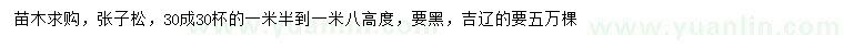 求購(gòu)高1.5-1.8米樟子松