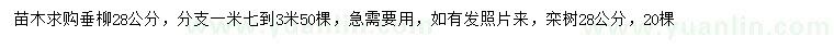 求購28公分垂柳、28公分欒樹