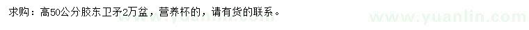 求購高50公分膠東衛(wèi)矛