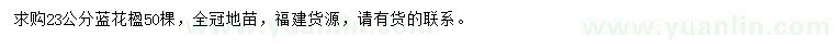 求購23公分藍花楹