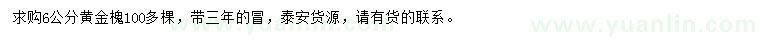 求購6公分黃金槐