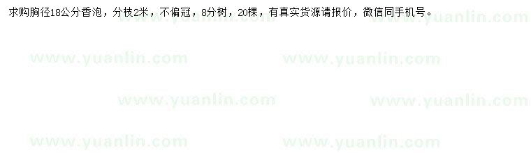 求購(gòu)18公分香泡