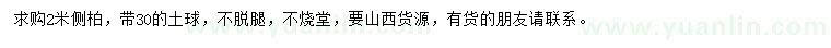 求購(gòu)2米側(cè)柏