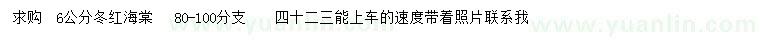 求購6公分冬紅海棠