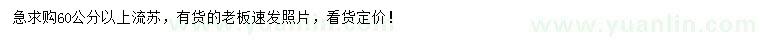 求購(gòu)60公分以上流蘇