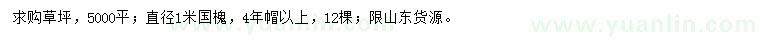 求購草坪、直徑1米國槐