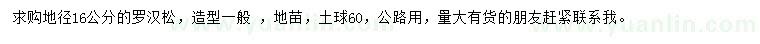 求購(gòu)地徑16公分羅漢松