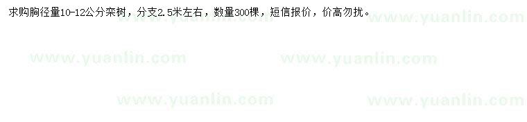 求購胸徑量10-12公分欒樹