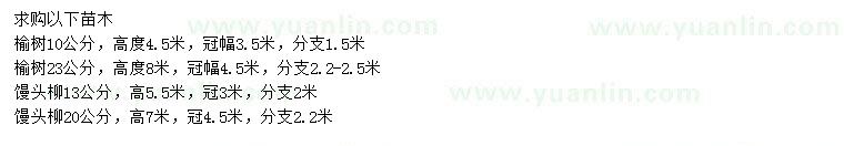 求購(gòu)10、23公分榆樹(shù)、13、20公分饅頭柳