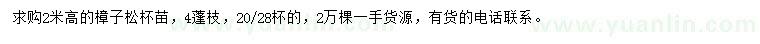 求購高2米樟子松