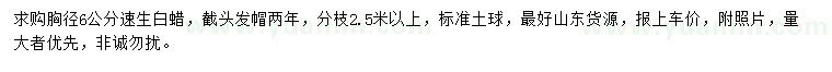 求購胸徑6公分速生白蠟