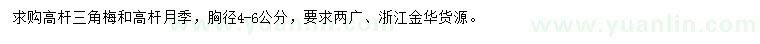 求購(gòu)胸徑4-6公分高桿三角梅、高桿月季