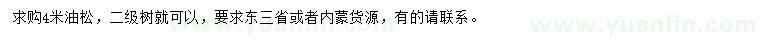 求購4米油松
