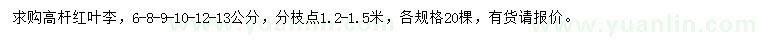 求購6、8、9、10、12、13公分高桿紅葉李