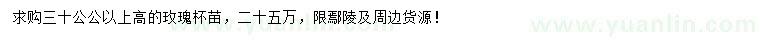 求購(gòu)高30公公以上玫瑰杯苗