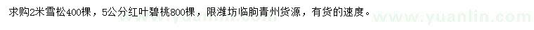 求購2米雪松、5公分紅葉碧桃
