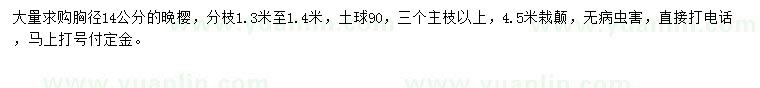 求購胸徑14公分晚櫻